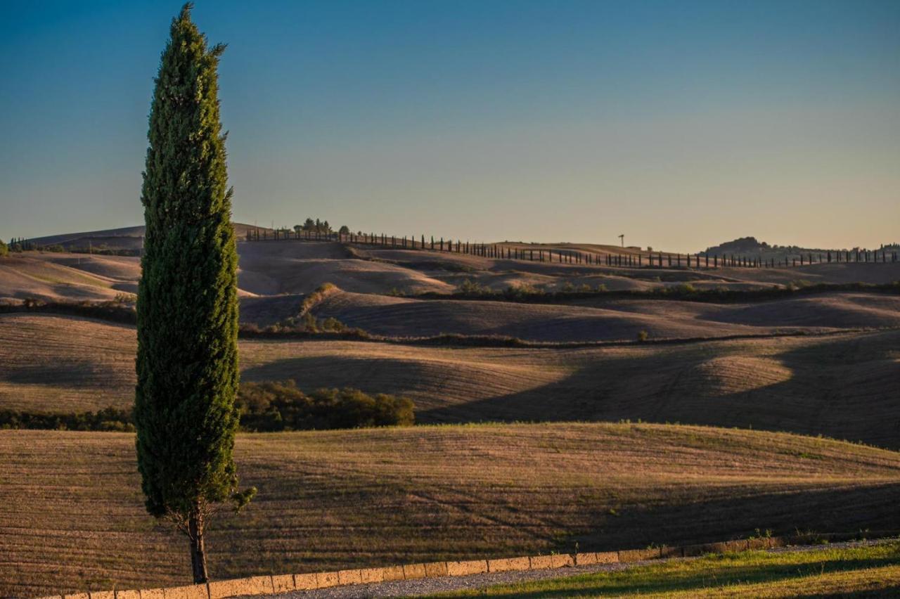Casa Lavanda - Podere Fossaccio Asciano Exterior foto